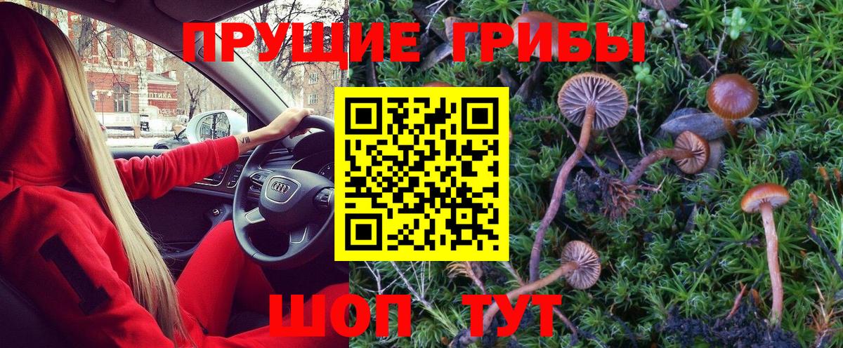 Псилоцибиновые грибы GOLDEN TEACHER Зеленокумск
