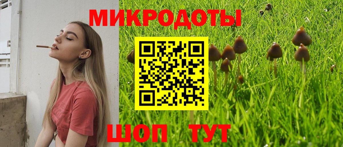 Псилоцибиновые грибы Magic Shrooms  Вход с VPN  Зеленокумск  Галлюциногенные грибы Cubensis 